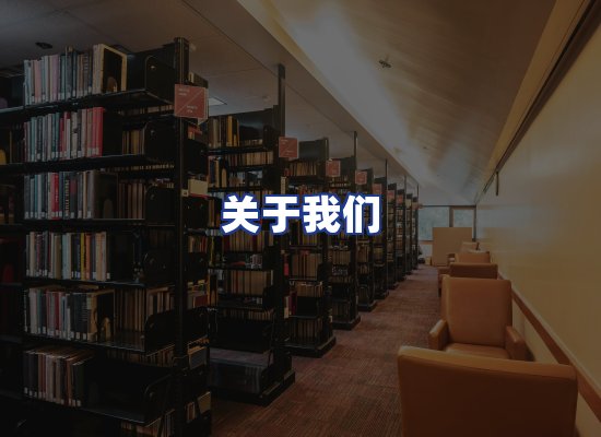专业团队
