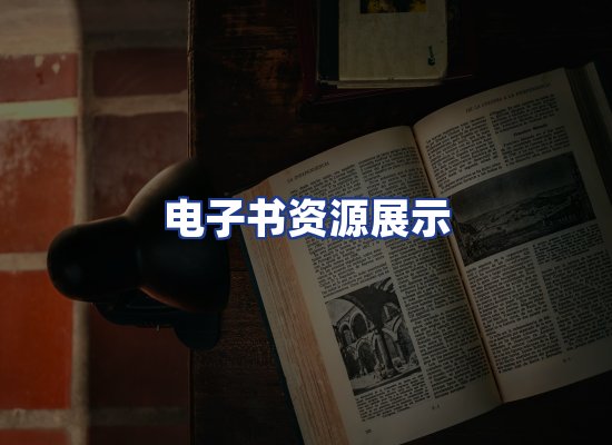 电子书资源展示
